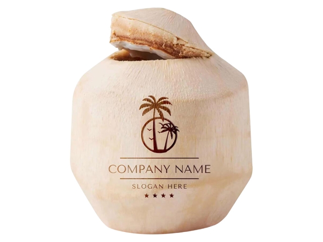 CO2 激光打標(biāo)機(jī)在新鮮椰子上 DIY 定制徽標(biāo) CO2 激光打標(biāo)機(jī)在新鮮椰子上 DIY 定制徽標(biāo)