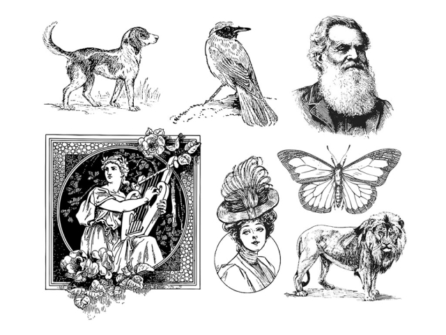 免費(fèi) 2D/3D激光蝕刻機(jī)的激光雕刻矢量文件 免費(fèi) 2D/3D激光蝕刻機(jī)的激光雕刻矢量文件