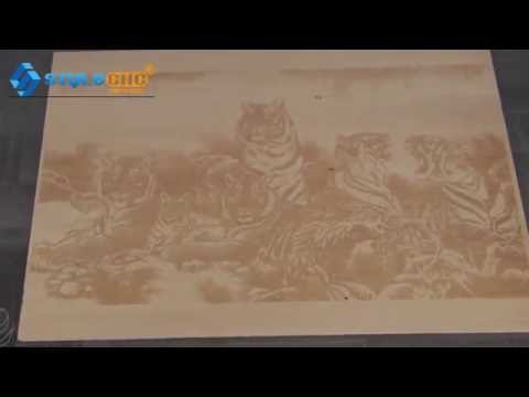 工業(yè)級 CO2 木版印刷激光打標機