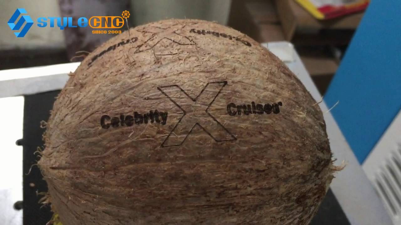 新鮮椰子激光雕刻打標(biāo)機(jī)
